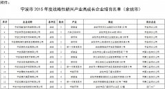 关于调整战略性新兴产业高成长企业优惠差别水价政策的通知