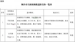 桐乡市民政局关于同意“子夜东路”等地名命名的批复