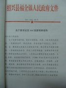 关于要求拓宽104男复线的报告