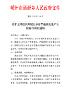 通源乡关于立即组织开展全乡春节前安全生产大检查行动的通知