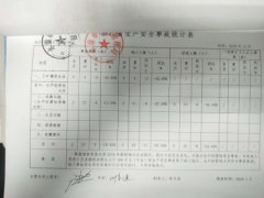 2019年度行政执法统计年报